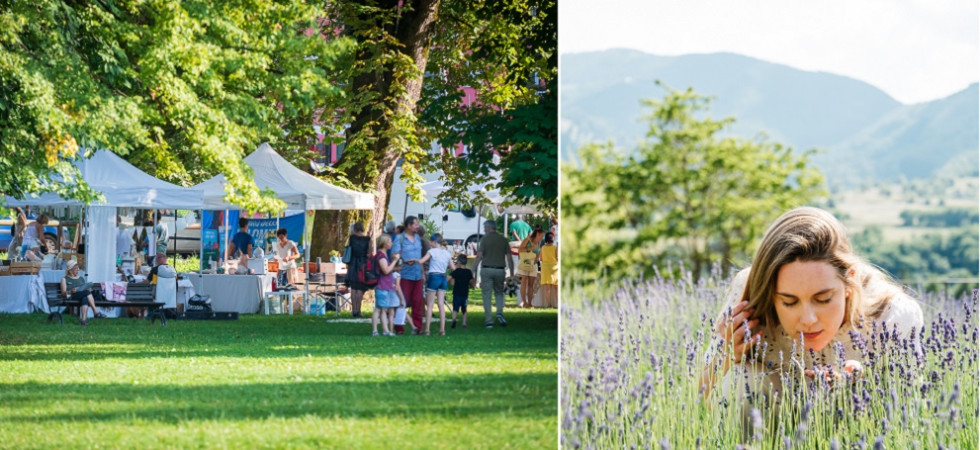 Mostra mercato, laboratori, sport erbe e piante officinali, ritorna "Baldo Bio Benessere"